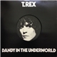 T. Rex - Dandy In The Underworld